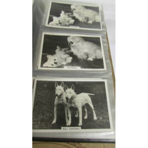 2260 - 2 albums of Players large size cards and Senior Service dogs etc.,