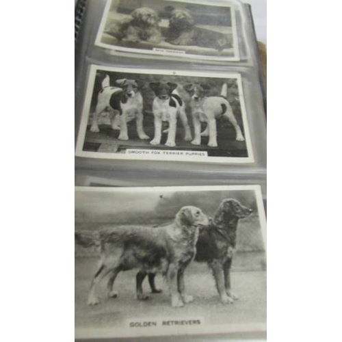 2260 - 2 albums of Players large size cards and Senior Service dogs etc.,