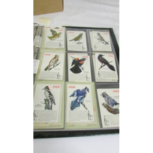 2261 - An album of cigarette cards including Players Dogs, Treasures of Britain, Famous Beauties, Senior Se... 