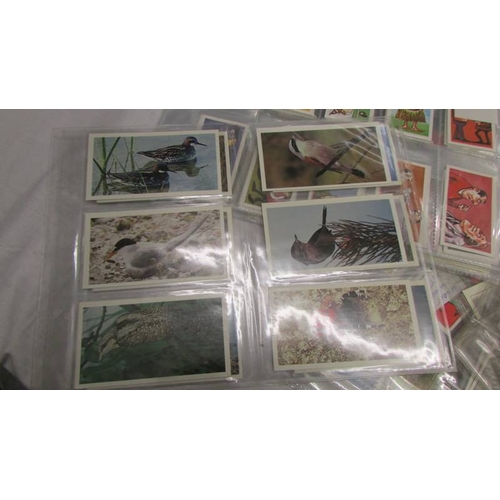 2322 - A mixed lot of assorted collector's cards - Doncella, Barratt & Co., Tom Thumbe, Lamberts etc.,