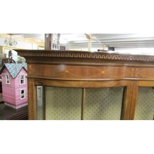 2462 - An Edwardian mahogany inlaid display cabinet.