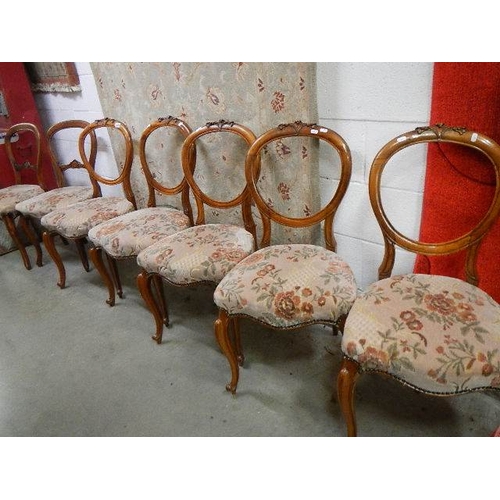 2488 - A good set of 5 Mid Victorian cabriole leg dining chairs, no damage.