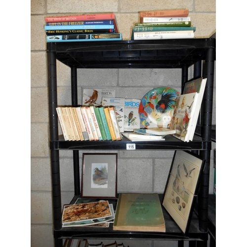 115 - A good lot of vintage books on birds including a selection of Observer books plus a framed and glaze... 