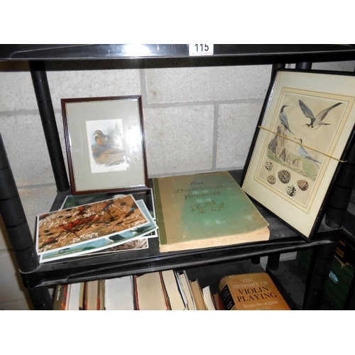 115 - A good lot of vintage books on birds including a selection of Observer books plus a framed and glaze... 