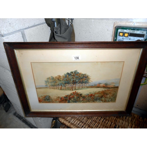 136 - An early framed and glazed 20c watercolour on paper, signed. Title A Copse with pine trees. Xavier W... 