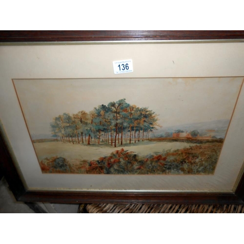 136 - An early framed and glazed 20c watercolour on paper, signed. Title A Copse with pine trees. Xavier W... 