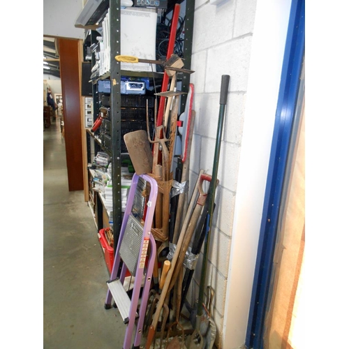 142 - A quantity of various garden tools plus a 2 step ladder