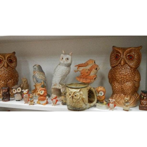 159 - Two shelves of assorted owl figures,