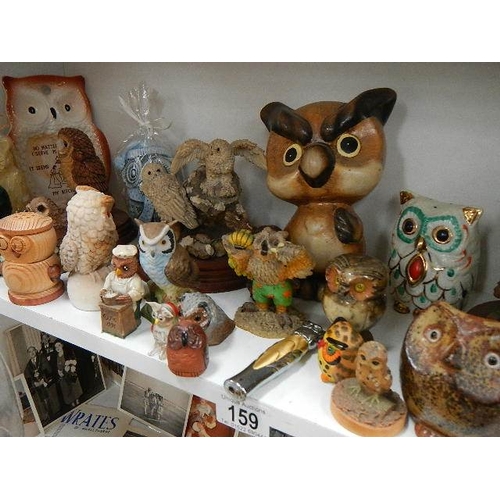 159 - Two shelves of assorted owl figures,