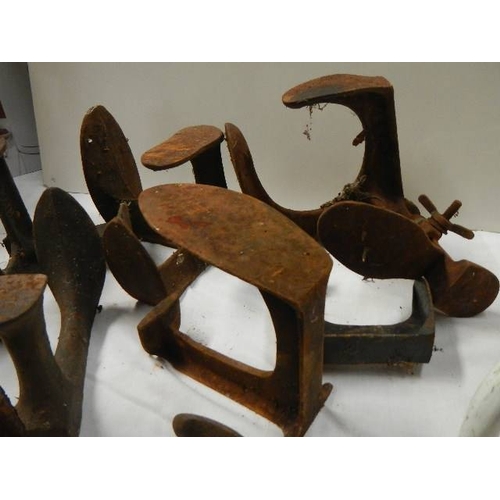 109 - A quantity of old cast iron shoe lasts.