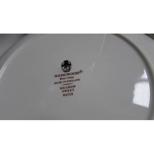 277 - In excess of 50 pieces of Wedgwood dinner ware (unfortunately no teacups) (Collect only)