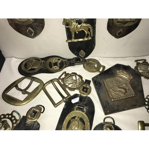 1029 - A selection of brassware including horse brasses & martingales etc