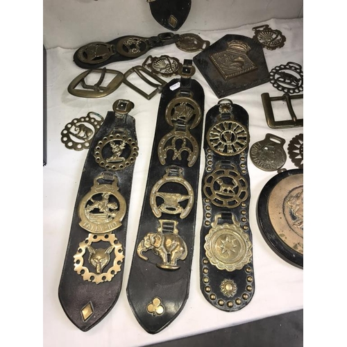 1029 - A selection of brassware including horse brasses & martingales etc