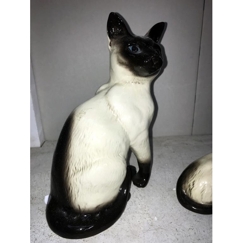 1073 - A Royal Doulton Siamese cat, Sylvac cat (some crazing to back) & Beswick Siamese cat (hairline crack... 