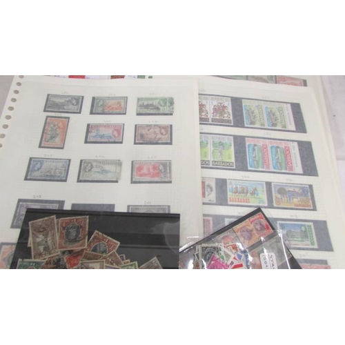 2196 - A collection of mainly commonwealth stamps including rare Australian examples.