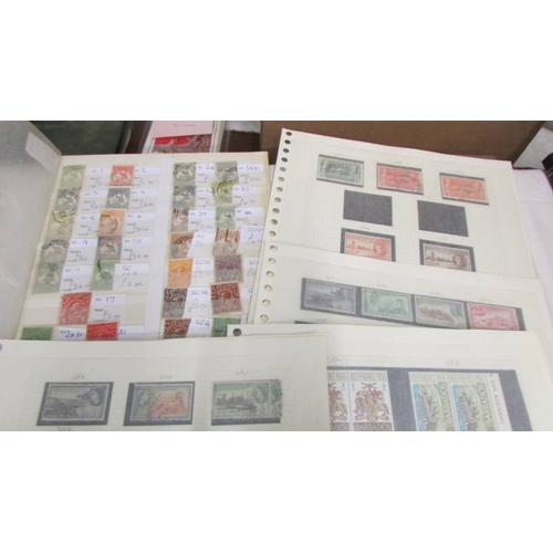 2196 - A collection of mainly commonwealth stamps including rare Australian examples.