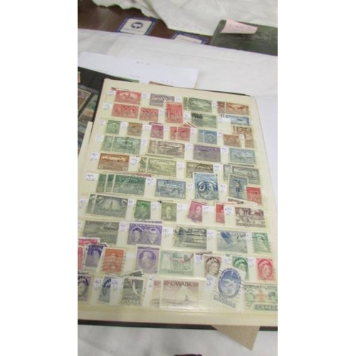 2198 - A very good collection of USA and Canada stamps including early and mint examples.