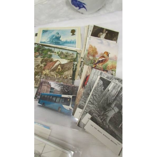 2204 - In excess of 200 postcards including transport, wildlife, topographical etc.,