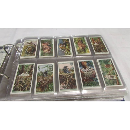 2213 - An album of early 20th century cigarette cards (1915-1930's) including Will's, Player's, Gallaher et... 