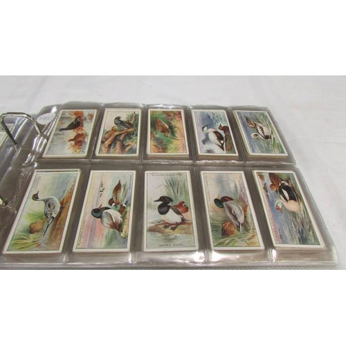 2213 - An album of early 20th century cigarette cards (1915-1930's) including Will's, Player's, Gallaher et... 