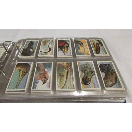 2213 - An album of early 20th century cigarette cards (1915-1930's) including Will's, Player's, Gallaher et... 