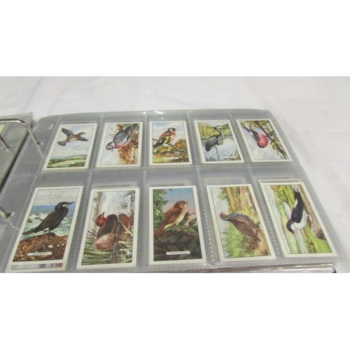 2213 - An album of early 20th century cigarette cards (1915-1930's) including Will's, Player's, Gallaher et... 