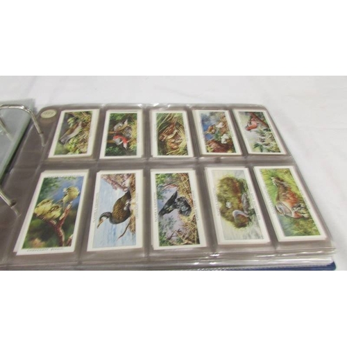 2213 - An album of early 20th century cigarette cards (1915-1930's) including Will's, Player's, Gallaher et... 