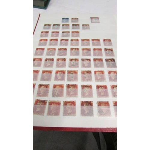 2219 - Three albums of UK and world stamps including Victorian penny reds.