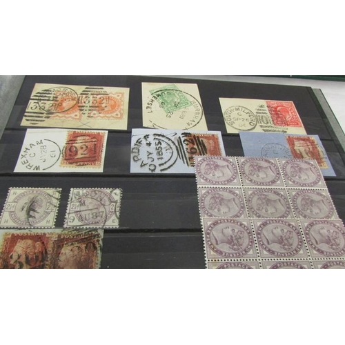 2219 - Three albums of UK and world stamps including Victorian penny reds.