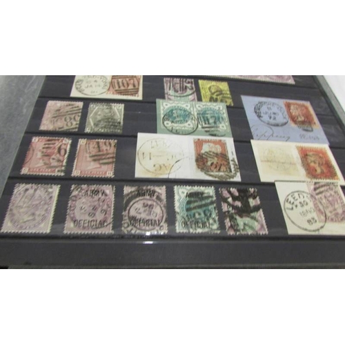 2219 - Three albums of UK and world stamps including Victorian penny reds.