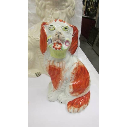 2259 - A pair of Staffordshire spaniels and a larger example.