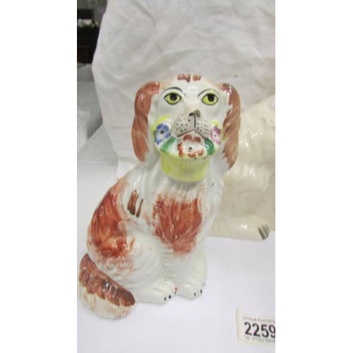 2259 - A pair of Staffordshire spaniels and a larger example.