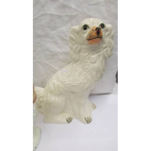 2259 - A pair of Staffordshire spaniels and a larger example.