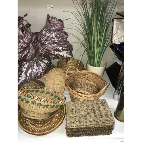 1290 - A good lot of wicker baskets etc. & 2 artificial plants