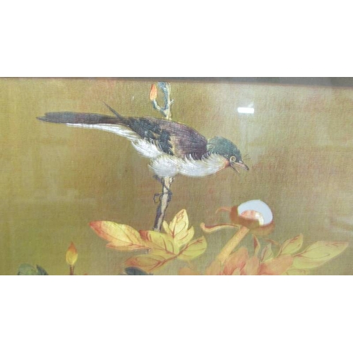 2335 - A framed and glazed Chinese/Japanese painting of birds, signed. (Collect only)