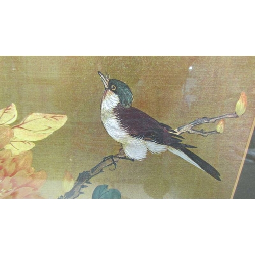 2335 - A framed and glazed Chinese/Japanese painting of birds, signed. (Collect only)