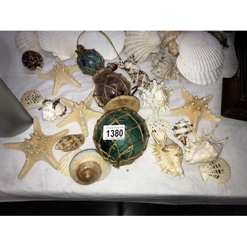 1380 - A mixed lot of sea shells & glass water float