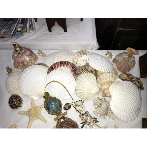 1380 - A mixed lot of sea shells & glass water float