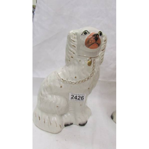 2426 - A pair of Staffordshire spaniels.