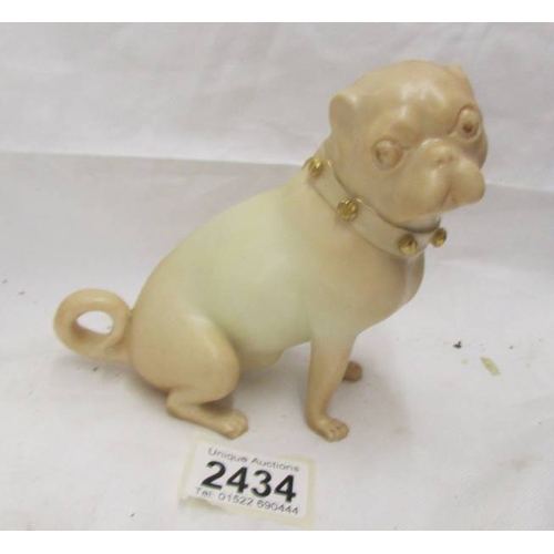 2434 - A Royal Worcester pug dog.