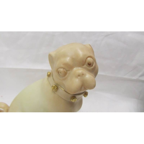 2434 - A Royal Worcester pug dog.