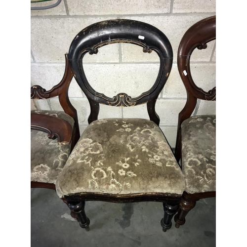 1503 - A set of 6 Victorian balloon back dining chairs