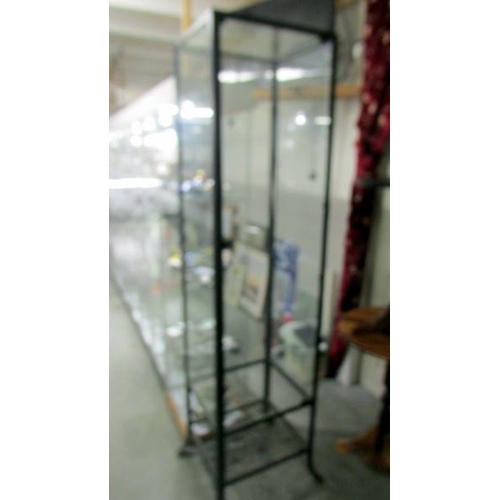 2479 - A metal and glass cabinet (Lock needs repair) (collect only)