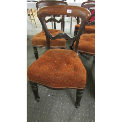 2567 - A set of four mahogany dining chairs. (collect only)