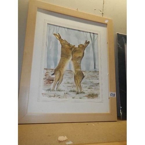 572 - A framed and glazed watercolour depicting fighting hares, signed.