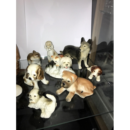 100 - A large selection of pottery dog ornaments including an E.T. money box