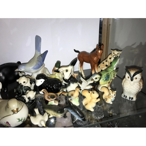 105 - A large selection of animal ornaments