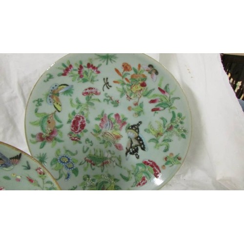 1353 - Four hand painted chinese plates, one chipped others good.