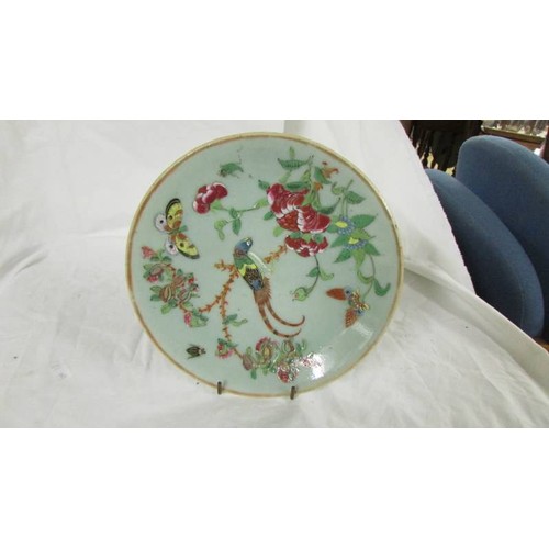 1353 - Four hand painted chinese plates, one chipped others good.