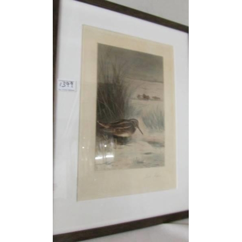 1379 - Archibald Thorburn (1860-1935) Pencil signed print entitled 'Plover' published by Baird Carter Londo... 